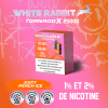 WHITE RABBIT TORNADO X - Puff 25000 Rechargeable - Strawberry Watermelon Ice