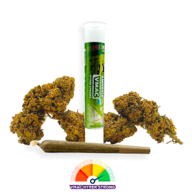 Pré-roll VMAC Hyper Strong - Amnesia